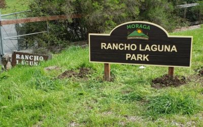 Moraga, CA – Town Of Moraga Adds Second Sandblasted HDU Sign!