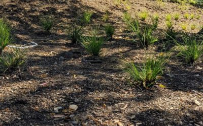 Palo Alto, CA – Precision Tooled Plaques Add Finesse To Landscape Art Display!