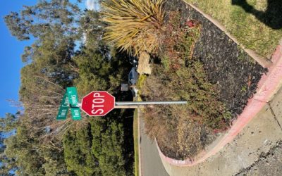 Accidents Do Happen Calling for Street Signs and Stop Sign Replacements in Hayward, CA!