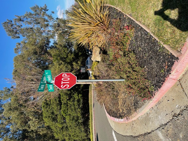 Accidents Do Happen Calling for Street Signs and Stop Sign Replacements in Hayward, CA!