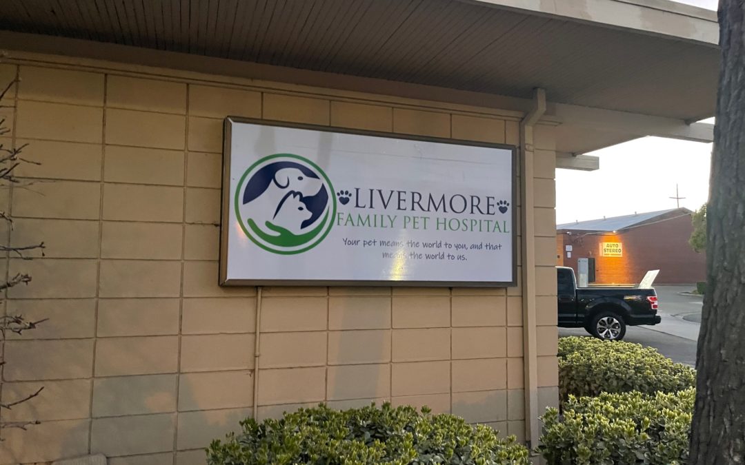 Livermore, CA – Vinyl Graphics And LEXAN, An Affordability Personalization Option!