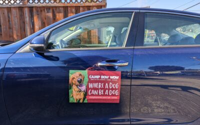 San Ramon, CA – Doggie Boarding and Daycare Mobile Advertising & Branding!